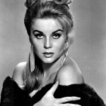 ann-margret before and afgter plastic surgery