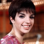 Liza Minnelli Before and After Photos